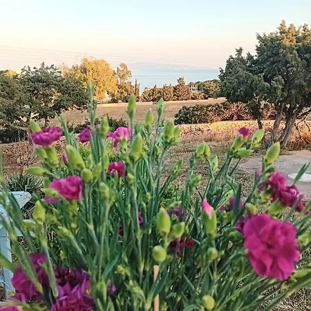 Sea View Lolantonis